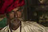 <p><strong>2016 –– India – Gujarat – Rabari people area</strong></p>
<p>Il Gujarat ha una forte presenza tribale: oltre il 20 % della popolazione appartiene a etnie minori.</p>
<p>Fra tutte spiccano i nomadi, e tra i nomadi i Rabari, dediti alla pastorizia ed all’allevamento di ovini e cammelli. Il loro nomadismo è legato alla transumanza: si spostano su lunghe distanze, tra il Gujarat e il Rajastan, alla ricerca dei pascoli migliori. Tornano al loro villaggio una volta all’anno e si guadagnano da vivere vendendo latte. In passato erano completamente nomadi ora sono semi-nomadi, spostandosi dal loro villaggio secondo le stagioni.</p>
<p>La parola “Rabari” si traduce come “<em>estranei</em>”, una descrizione equa della loro principale occupazione e del loro status all’interno della società indiana.</p>
<p>Una leggenda racconta il mito della loro creazione.</p>
<p><em>Mentre il dio Shiva meditava tra le montagne dell’Himalaya, Parvati, sua sposa, nell’attesa passava il tempo sulle rive del fiume, facendo il bagno e giocando con la sabbia. Un giorno creò due figure: una forma umana e qualcosa che assomigliava ad un animale a cinque zampe. Quando Shiva ritornò, Parvati gli chiese di dar vita alle sue sculture, ma poiché egli si rese conto che l’animale così com’era stato modellato non avrebbe mai potuto muoversi, spostò la zampa centrale verso l’alto del corpo. Ebbe origine così il cammello con la sua gobba. Shiva decise poi che quell’uomo, sarebbe stato per sempre il guardiano dell’animale.</em></p>
<p>Poiché fu il dio Shiva a creare il primo uomo e il primo cammello decidendo la loro coesistenza nel tempo, i Rabari si considerano discendenti di un’unione divina: questo spiega perché mantenere e assistere gli animali è considerato un’occupazione quasi sacra dai Rabari, che si considerano i custodi delle loro mandrie piuttosto che i loro proprietari.</p>
